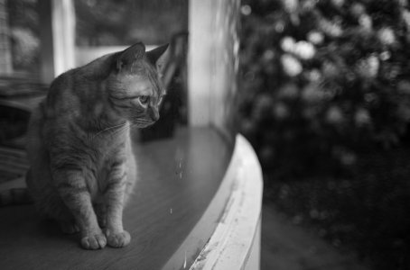 IMG_0807.jpeg