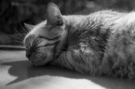 IMG_0799.jpeg