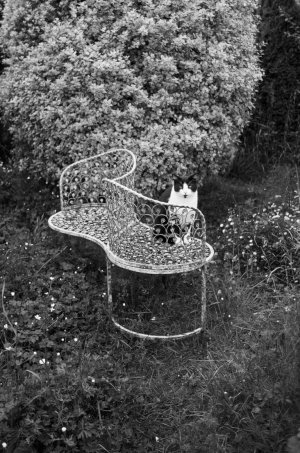IMG_1847.jpeg