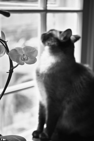 IMG_1371.jpeg