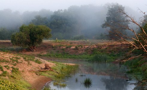 DSC_1209 1_2.jpg