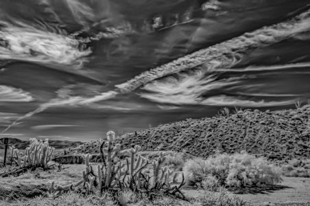 20230408-_DSF8516.jpg
