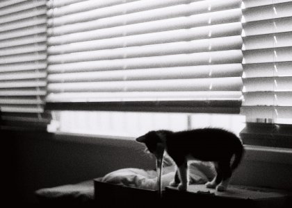 R1-06325-0017.jpeg R1-06325-0017.jpeg