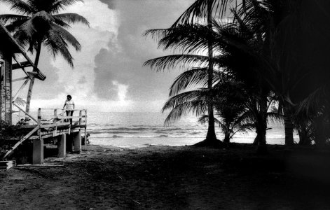 leicaiiic_trix_2013_9.jpg