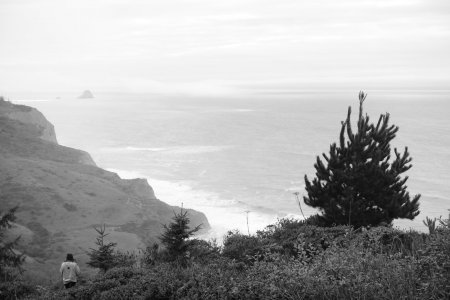 _DSC3479.jpeg
