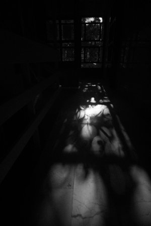 _A7S4850.jpg _A7S4850.jpg