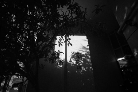 _A7S4847.jpg _A7S4847.jpg