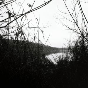 _A7S4737.jpg _A7S4737.jpg