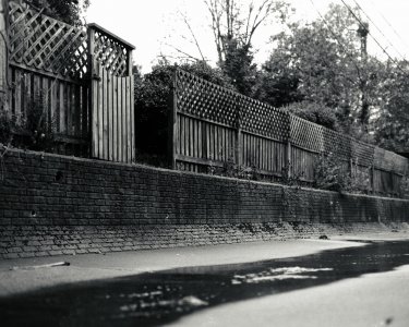 RZ67 - Neopan 400 - 110mm - Test-1.jpg RZ67 - Neopan 400 - 110mm - Test-1.jpg