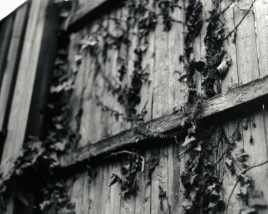 RZ67 - Neopan 400 - 110mm - Test-3.jpg RZ67 - Neopan 400 - 110mm - Test-3.jpg