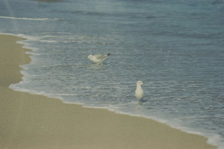 Pt Pleasant - Nikon FA 135mm - Vision3 250D-24S.jpg
