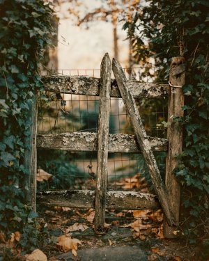 Arlington - Gate - Rock Spring - RZ67 - 110mm - Portra 400VC small.jpg