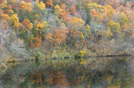 N.Fork Shendoah River.jpg