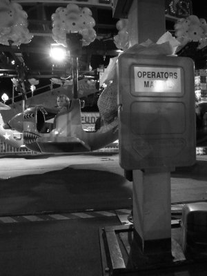 R1021707.jpeg
