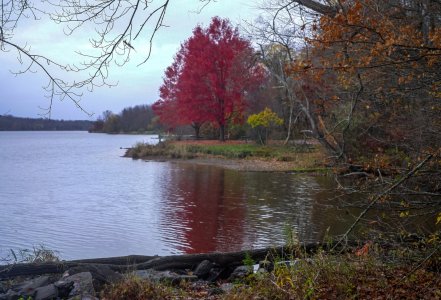 Autumn at Lake Galena.jpg