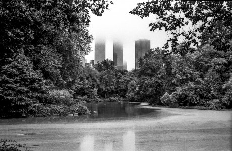 NYC24.jpg
