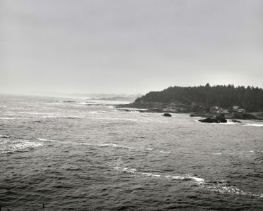 IMG_6113.jpeg