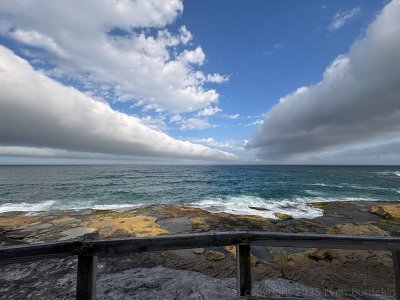 20241219-IMG_1556-Edit-1024-RFF.jpg