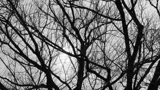 IMG_6652.jpeg