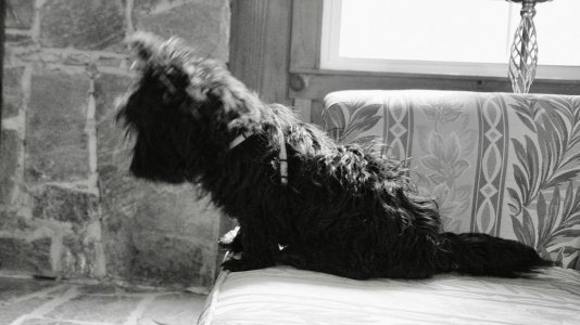 IMG_6729.jpeg