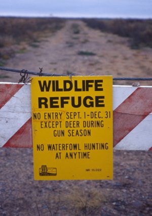 Sign, Powell Marsh copy.jpg
