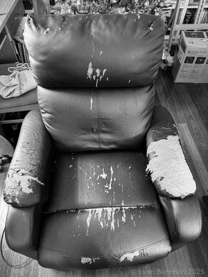 20250102-IMG_1739-Edit-1024-RFF.jpg