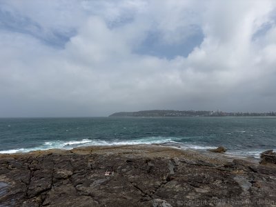 20250122-IMG_1982-Edit-1024-RFF.jpg