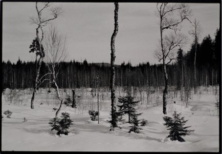 DSCF3630.jpg