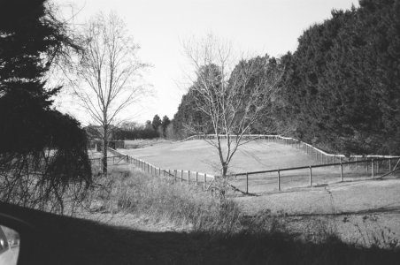 IMG_6959.jpeg
