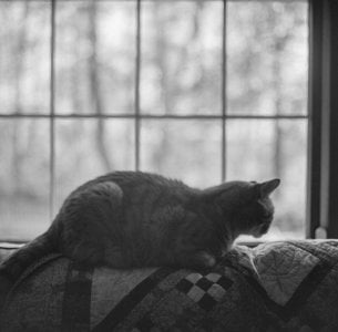 IMG_7109.jpeg