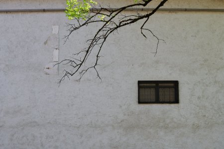 Image_218.jpg