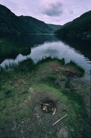 IMG137.jpg