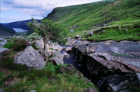 P_IMG1181.jpg