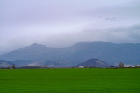IMG_7207.jpeg