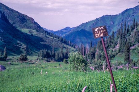 Gorelnik Gorge - Sign - Contax G1 - 45mm f2 - Velvia 100.jpg