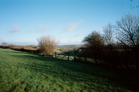 dorset countryside.jpg
