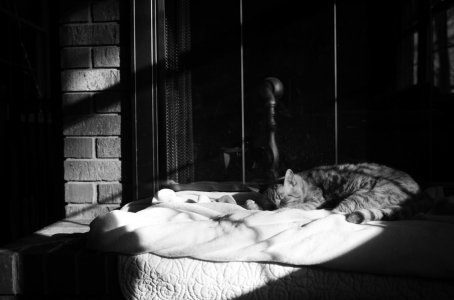 IMG_7347.jpeg