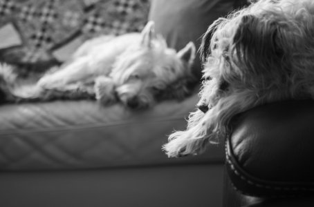 IMG_7383.jpeg