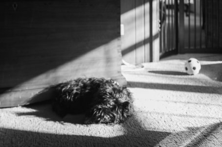 IMG_7385.jpeg