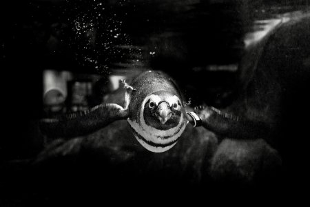 IMG_7393.jpeg