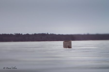 Ice Fishing House 1--February 27, 2024.jpg Ice Fishing House 1--February 27, 2024.jpg