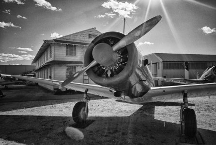 L1000505P(B&W).jpg