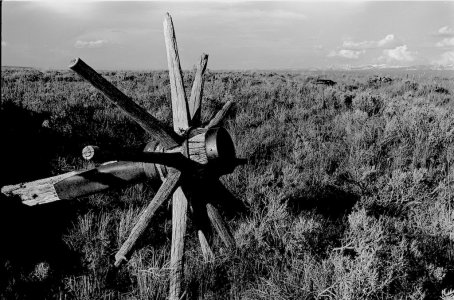 Wagon wheel remnant RFF.jpg
