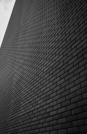 P3100449.jpg P3100449.jpg