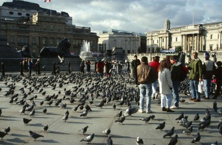 TrafalgarSquareLondon.jpg