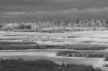 D80 105mm 2.8 River Morning--March 16, 2025.jpg