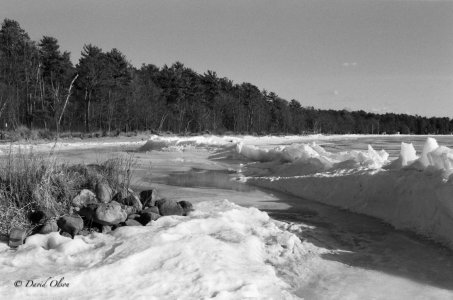 Lakeshore Melting--March 16, 2025.jpg Lakeshore Melting--March 16, 2025.jpg