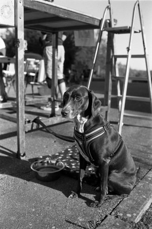 Leica Ic - Roll 14 - Fomapan 100 - Rodinal (9).jpg Leica Ic - Roll 14 - Fomapan 100 - Rodinal (9).jpg