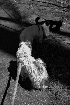 IMG_7809.jpeg