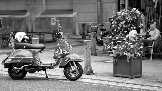 DSC09793.jpg